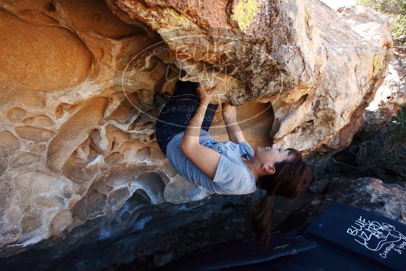 Bouldering in Hueco Tanks on 03/03/2019 with Blue Lizard Climbing and Yoga

Filename: SRM_20190303_1316330.jpg
Aperture: f/5.6
Shutter Speed: 1/320
Body: Canon EOS-1D Mark II
Lens: Canon EF 16-35mm f/2.8 L