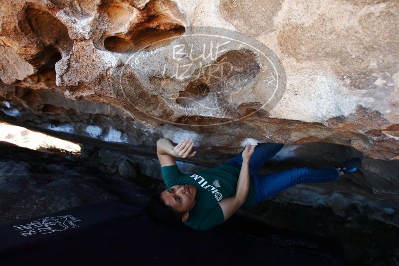 Bouldering in Hueco Tanks on 03/03/2019 with Blue Lizard Climbing and Yoga

Filename: SRM_20190303_1332560.jpg
Aperture: f/4.0
Shutter Speed: 1/320
Body: Canon EOS-1D Mark II
Lens: Canon EF 16-35mm f/2.8 L