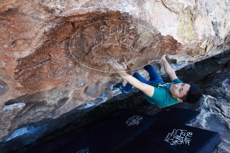 Bouldering in Hueco Tanks on 03/03/2019 with Blue Lizard Climbing and Yoga

Filename: SRM_20190303_1336240.jpg
Aperture: f/5.6
Shutter Speed: 1/200
Body: Canon EOS-1D Mark II
Lens: Canon EF 16-35mm f/2.8 L