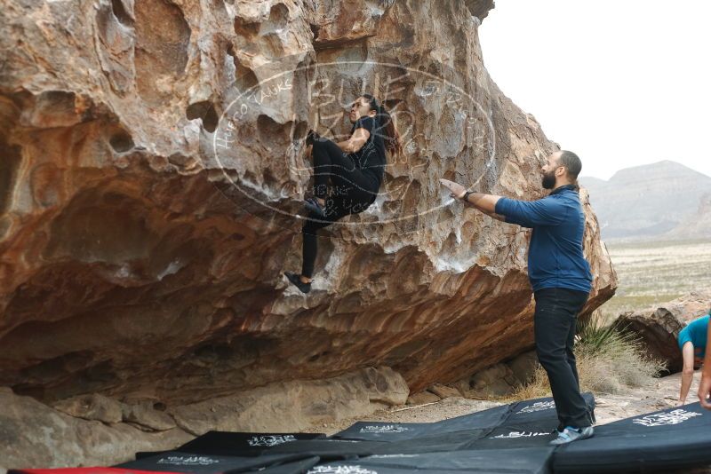 Bouldering in Hueco Tanks on 03/08/2019 with Blue Lizard Climbing and Yoga

Filename: SRM_20190308_1255020.jpg
Aperture: f/3.5
Shutter Speed: 1/320
Body: Canon EOS-1D Mark II
Lens: Canon EF 50mm f/1.8 II