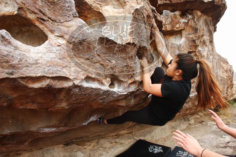 Bouldering in Hueco Tanks on 03/08/2019 with Blue Lizard Climbing and Yoga

Filename: SRM_20190308_1305530.jpg
Aperture: f/5.6
Shutter Speed: 1/200
Body: Canon EOS-1D Mark II
Lens: Canon EF 16-35mm f/2.8 L