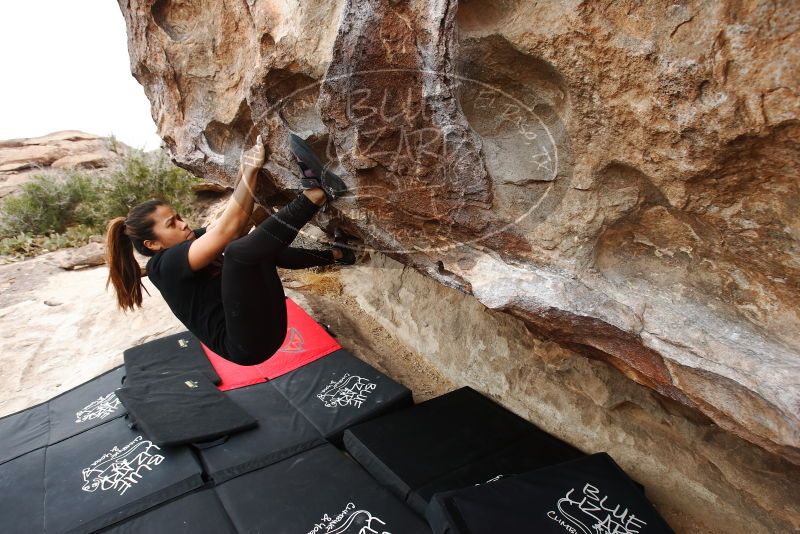 Bouldering in Hueco Tanks on 03/08/2019 with Blue Lizard Climbing and Yoga

Filename: SRM_20190308_1326040.jpg
Aperture: f/5.6
Shutter Speed: 1/250
Body: Canon EOS-1D Mark II
Lens: Canon EF 16-35mm f/2.8 L