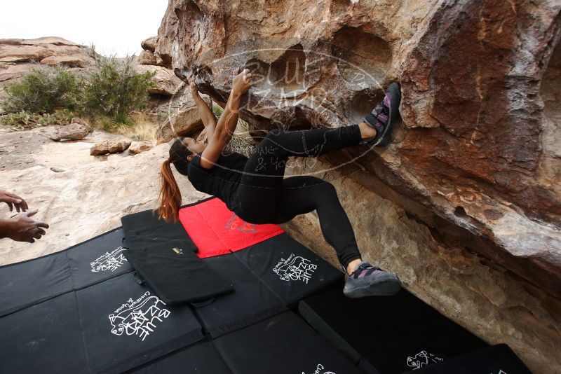 Bouldering in Hueco Tanks on 03/08/2019 with Blue Lizard Climbing and Yoga

Filename: SRM_20190308_1326070.jpg
Aperture: f/5.6
Shutter Speed: 1/320
Body: Canon EOS-1D Mark II
Lens: Canon EF 16-35mm f/2.8 L