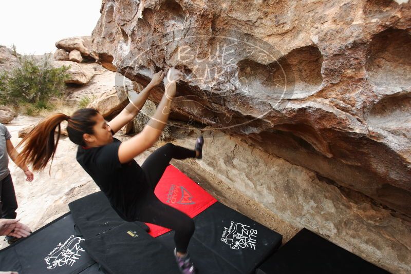 Bouldering in Hueco Tanks on 03/08/2019 with Blue Lizard Climbing and Yoga

Filename: SRM_20190308_1326140.jpg
Aperture: f/5.6
Shutter Speed: 1/160
Body: Canon EOS-1D Mark II
Lens: Canon EF 16-35mm f/2.8 L