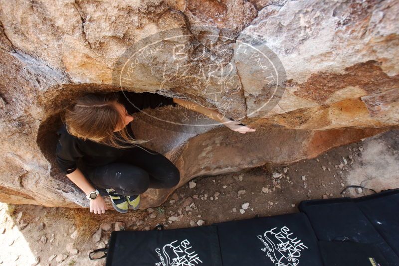 Bouldering in Hueco Tanks on 03/09/2019 with Blue Lizard Climbing and Yoga

Filename: SRM_20190309_1216460.jpg
Aperture: f/5.6
Shutter Speed: 1/320
Body: Canon EOS-1D Mark II
Lens: Canon EF 16-35mm f/2.8 L