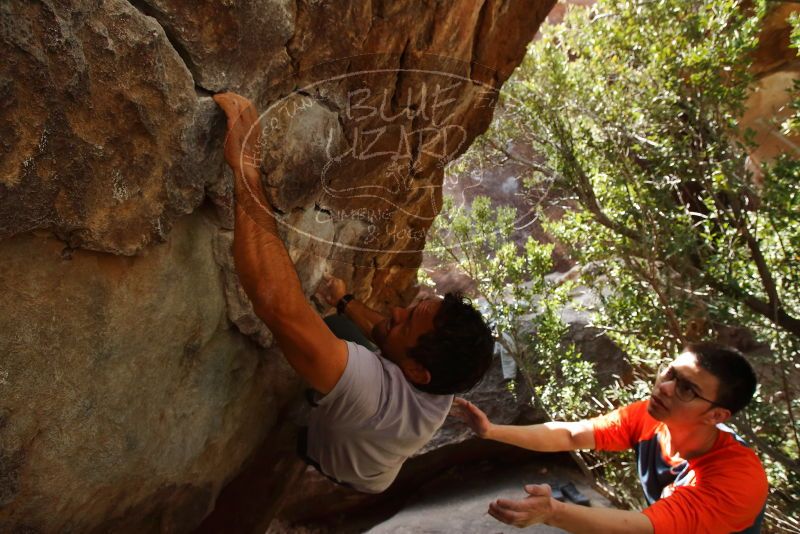 Bouldering in Hueco Tanks on 03/09/2019 with Blue Lizard Climbing and Yoga

Filename: SRM_20190309_1330031.jpg
Aperture: f/5.6
Shutter Speed: 1/320
Body: Canon EOS-1D Mark II
Lens: Canon EF 16-35mm f/2.8 L