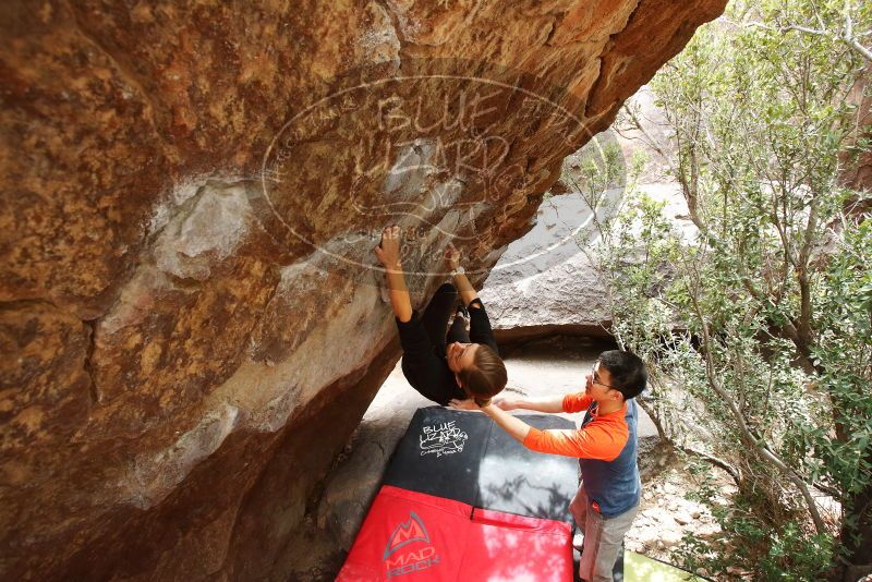 Bouldering in Hueco Tanks on 03/09/2019 with Blue Lizard Climbing and Yoga

Filename: SRM_20190309_1413220.jpg
Aperture: f/5.6
Shutter Speed: 1/250
Body: Canon EOS-1D Mark II
Lens: Canon EF 16-35mm f/2.8 L