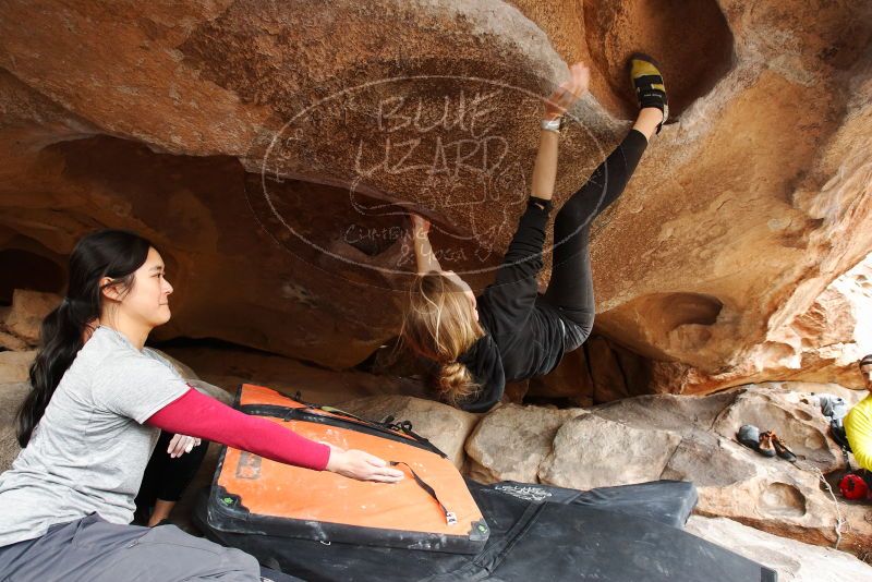 Bouldering in Hueco Tanks on 03/09/2019 with Blue Lizard Climbing and Yoga

Filename: SRM_20190309_1606410.jpg
Aperture: f/5.6
Shutter Speed: 1/160
Body: Canon EOS-1D Mark II
Lens: Canon EF 16-35mm f/2.8 L