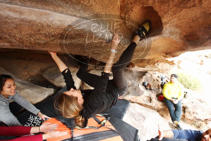 Bouldering in Hueco Tanks on 03/09/2019 with Blue Lizard Climbing and Yoga

Filename: SRM_20190309_1606480.jpg
Aperture: f/5.6
Shutter Speed: 1/160
Body: Canon EOS-1D Mark II
Lens: Canon EF 16-35mm f/2.8 L