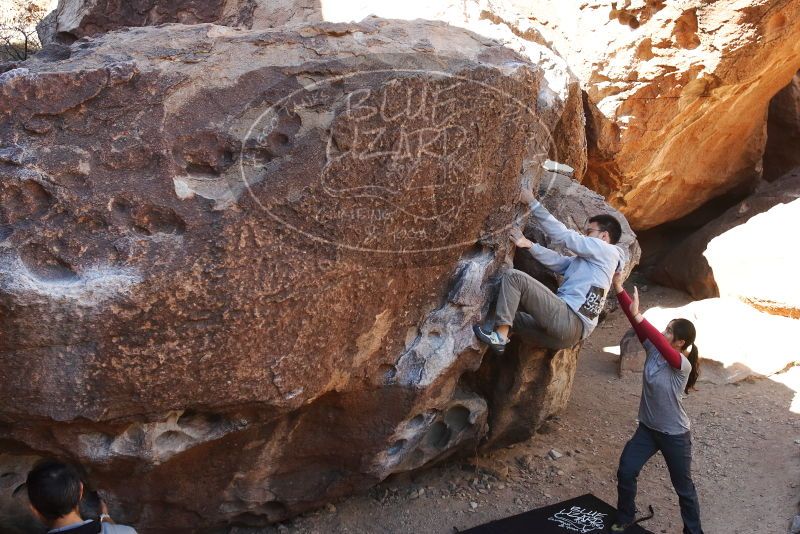 Bouldering in Hueco Tanks on 03/09/2019 with Blue Lizard Climbing and Yoga

Filename: SRM_20190309_1052480.jpg
Aperture: f/5.6
Shutter Speed: 1/100
Body: Canon EOS-1D Mark II
Lens: Canon EF 16-35mm f/2.8 L