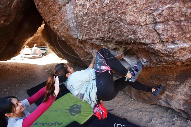 Bouldering in Hueco Tanks on 03/09/2019 with Blue Lizard Climbing and Yoga

Filename: SRM_20190309_1115070.jpg
Aperture: f/4.0
Shutter Speed: 1/400
Body: Canon EOS-1D Mark II
Lens: Canon EF 16-35mm f/2.8 L