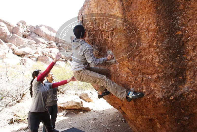 Bouldering in Hueco Tanks on 03/09/2019 with Blue Lizard Climbing and Yoga

Filename: SRM_20190309_1158190.jpg
Aperture: f/5.6
Shutter Speed: 1/200
Body: Canon EOS-1D Mark II
Lens: Canon EF 16-35mm f/2.8 L