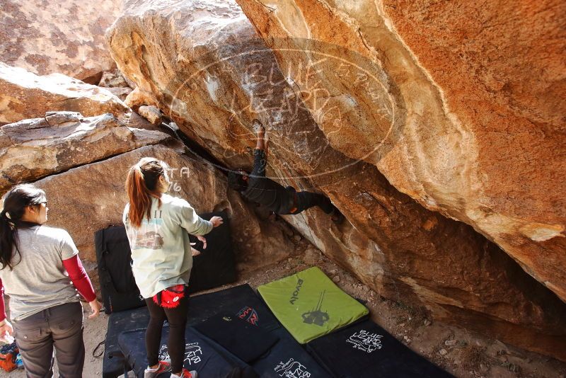 Bouldering in Hueco Tanks on 03/09/2019 with Blue Lizard Climbing and Yoga

Filename: SRM_20190309_1232040.jpg
Aperture: f/5.6
Shutter Speed: 1/200
Body: Canon EOS-1D Mark II
Lens: Canon EF 16-35mm f/2.8 L