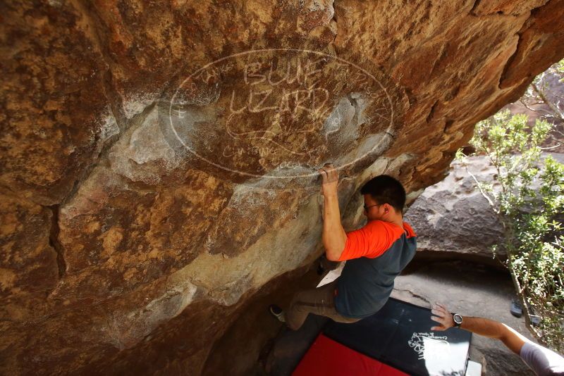 Bouldering in Hueco Tanks on 03/09/2019 with Blue Lizard Climbing and Yoga

Filename: SRM_20190309_1332130.jpg
Aperture: f/5.6
Shutter Speed: 1/200
Body: Canon EOS-1D Mark II
Lens: Canon EF 16-35mm f/2.8 L