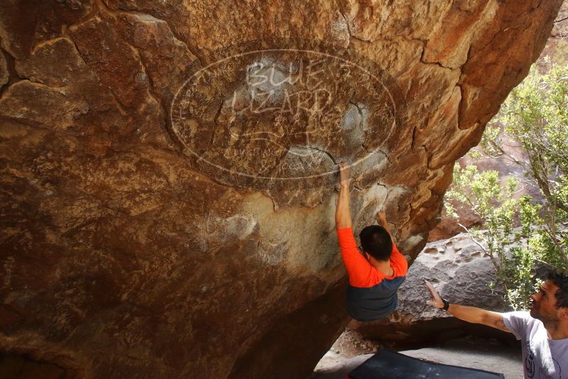 Bouldering in Hueco Tanks on 03/09/2019 with Blue Lizard Climbing and Yoga

Filename: SRM_20190309_1337220.jpg
Aperture: f/5.6
Shutter Speed: 1/200
Body: Canon EOS-1D Mark II
Lens: Canon EF 16-35mm f/2.8 L