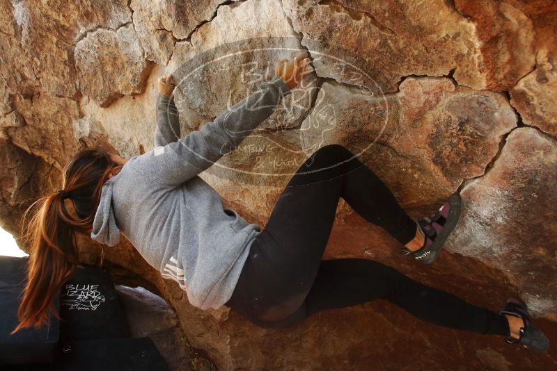 Bouldering in Hueco Tanks on 03/09/2019 with Blue Lizard Climbing and Yoga

Filename: SRM_20190309_1342360.jpg
Aperture: f/5.6
Shutter Speed: 1/100
Body: Canon EOS-1D Mark II
Lens: Canon EF 16-35mm f/2.8 L