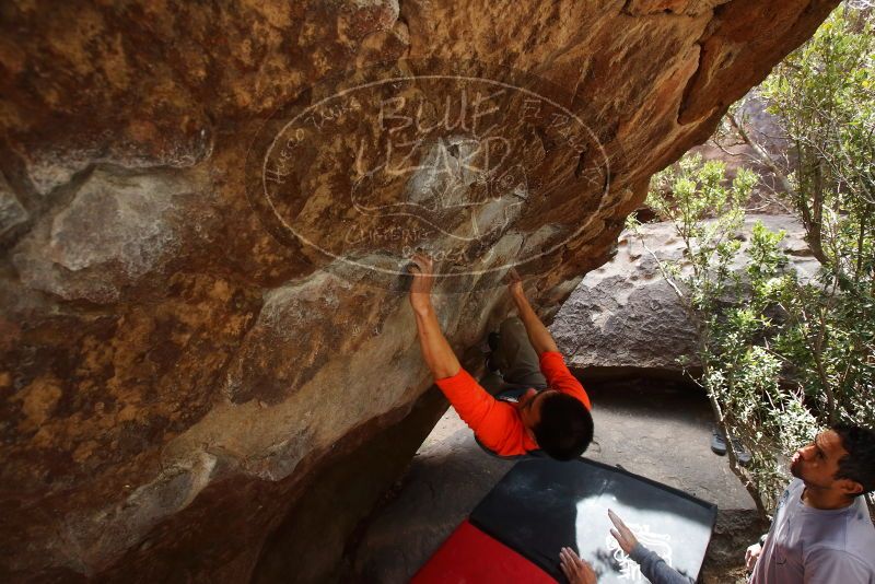 Bouldering in Hueco Tanks on 03/09/2019 with Blue Lizard Climbing and Yoga

Filename: SRM_20190309_1344340.jpg
Aperture: f/5.6
Shutter Speed: 1/250
Body: Canon EOS-1D Mark II
Lens: Canon EF 16-35mm f/2.8 L