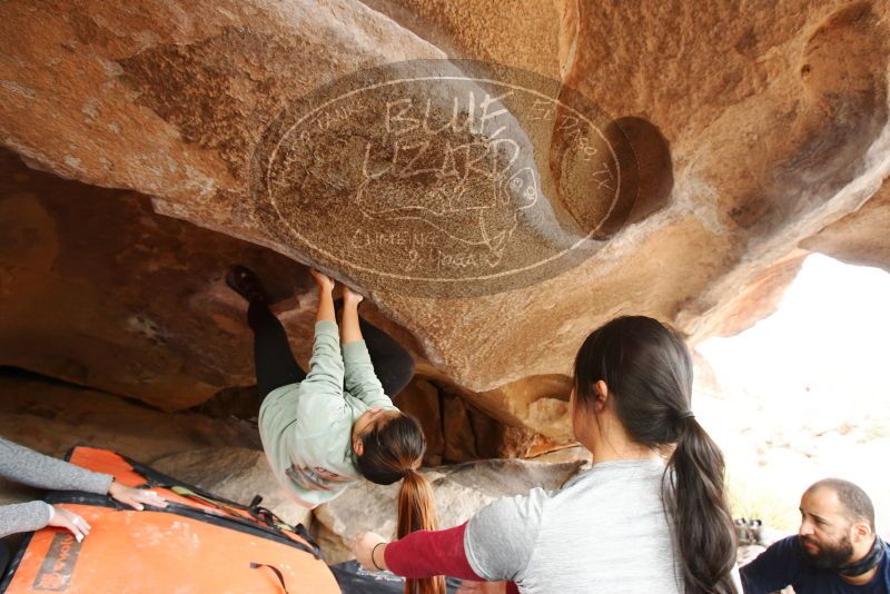 Bouldering in Hueco Tanks on 03/09/2019 with Blue Lizard Climbing and Yoga

Filename: SRM_20190309_1608080.jpg
Aperture: f/5.6
Shutter Speed: 1/160
Body: Canon EOS-1D Mark II
Lens: Canon EF 16-35mm f/2.8 L