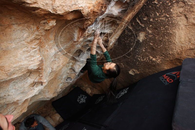 Bouldering in Hueco Tanks on 03/10/2019 with Blue Lizard Climbing and Yoga

Filename: SRM_20190310_1003420.jpg
Aperture: f/6.3
Shutter Speed: 1/250
Body: Canon EOS-1D Mark II
Lens: Canon EF 16-35mm f/2.8 L