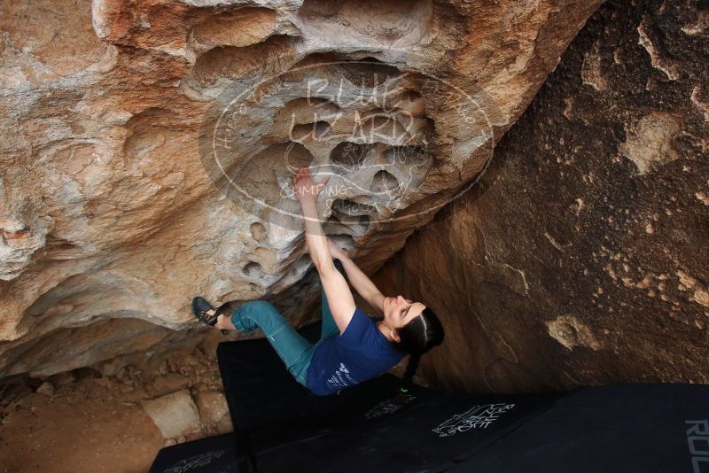 Bouldering in Hueco Tanks on 03/10/2019 with Blue Lizard Climbing and Yoga

Filename: SRM_20190310_1004430.jpg
Aperture: f/5.6
Shutter Speed: 1/320
Body: Canon EOS-1D Mark II
Lens: Canon EF 16-35mm f/2.8 L