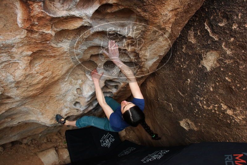 Bouldering in Hueco Tanks on 03/10/2019 with Blue Lizard Climbing and Yoga

Filename: SRM_20190310_1004431.jpg
Aperture: f/5.6
Shutter Speed: 1/320
Body: Canon EOS-1D Mark II
Lens: Canon EF 16-35mm f/2.8 L