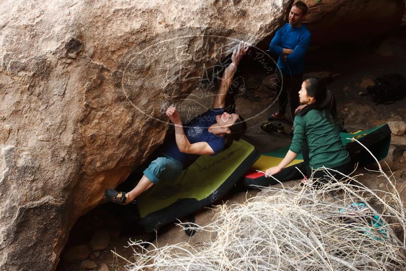 Bouldering in Hueco Tanks on 03/10/2019 with Blue Lizard Climbing and Yoga

Filename: SRM_20190310_1009550.jpg
Aperture: f/5.6
Shutter Speed: 1/250
Body: Canon EOS-1D Mark II
Lens: Canon EF 16-35mm f/2.8 L