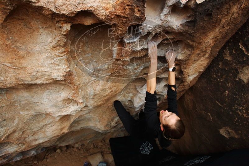 Bouldering in Hueco Tanks on 03/10/2019 with Blue Lizard Climbing and Yoga

Filename: SRM_20190310_1010470.jpg
Aperture: f/5.6
Shutter Speed: 1/400
Body: Canon EOS-1D Mark II
Lens: Canon EF 16-35mm f/2.8 L