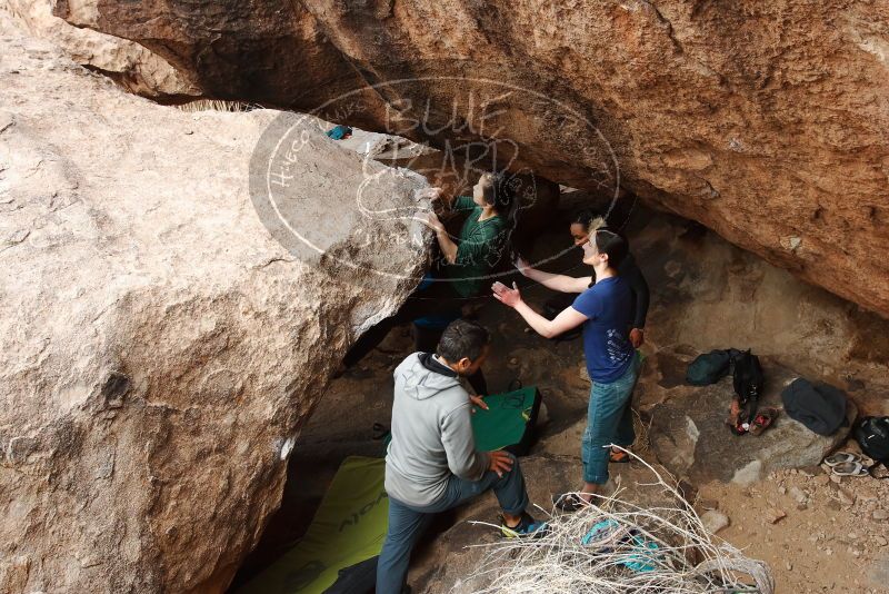 Bouldering in Hueco Tanks on 03/10/2019 with Blue Lizard Climbing and Yoga

Filename: SRM_20190310_1012210.jpg
Aperture: f/5.6
Shutter Speed: 1/400
Body: Canon EOS-1D Mark II
Lens: Canon EF 16-35mm f/2.8 L