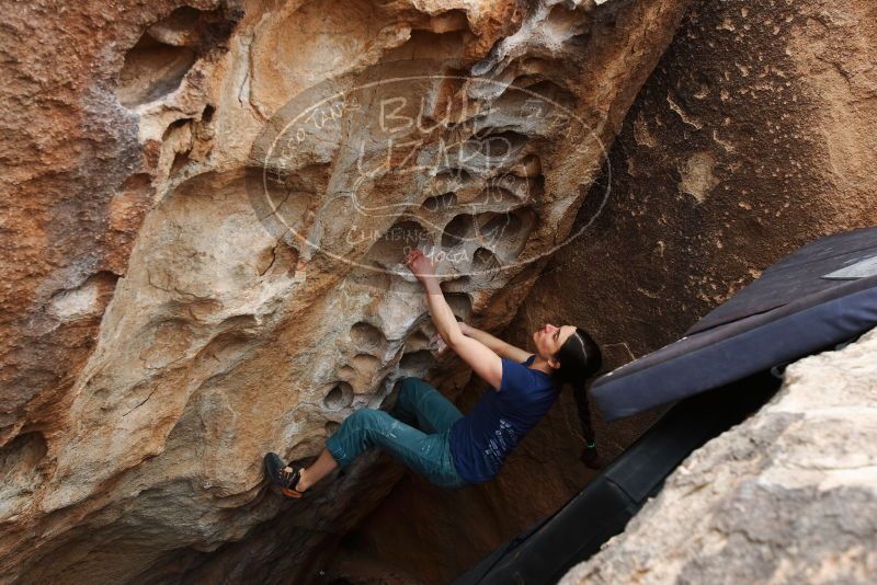 Bouldering in Hueco Tanks on 03/10/2019 with Blue Lizard Climbing and Yoga

Filename: SRM_20190310_1014360.jpg
Aperture: f/5.6
Shutter Speed: 1/320
Body: Canon EOS-1D Mark II
Lens: Canon EF 16-35mm f/2.8 L