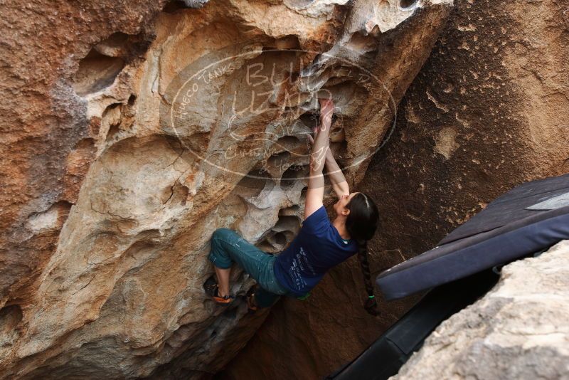Bouldering in Hueco Tanks on 03/10/2019 with Blue Lizard Climbing and Yoga

Filename: SRM_20190310_1014400.jpg
Aperture: f/5.6
Shutter Speed: 1/320
Body: Canon EOS-1D Mark II
Lens: Canon EF 16-35mm f/2.8 L