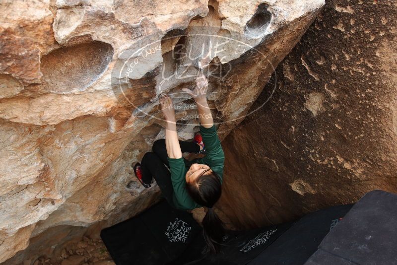 Bouldering in Hueco Tanks on 03/10/2019 with Blue Lizard Climbing and Yoga

Filename: SRM_20190310_1016000.jpg
Aperture: f/5.6
Shutter Speed: 1/250
Body: Canon EOS-1D Mark II
Lens: Canon EF 16-35mm f/2.8 L