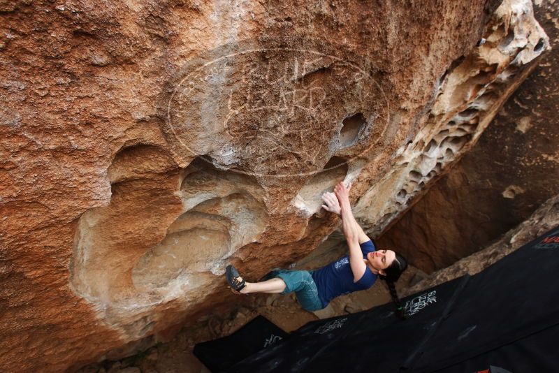 Bouldering in Hueco Tanks on 03/10/2019 with Blue Lizard Climbing and Yoga

Filename: SRM_20190310_1029230.jpg
Aperture: f/5.6
Shutter Speed: 1/250
Body: Canon EOS-1D Mark II
Lens: Canon EF 16-35mm f/2.8 L