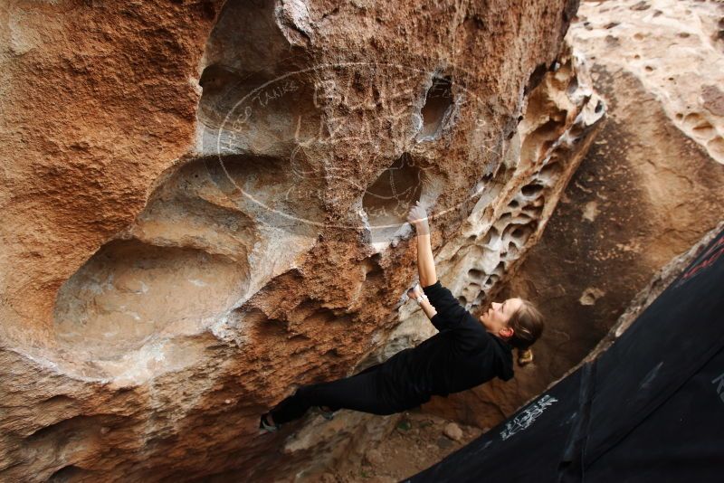 Bouldering in Hueco Tanks on 03/10/2019 with Blue Lizard Climbing and Yoga

Filename: SRM_20190310_1031370.jpg
Aperture: f/5.6
Shutter Speed: 1/320
Body: Canon EOS-1D Mark II
Lens: Canon EF 16-35mm f/2.8 L