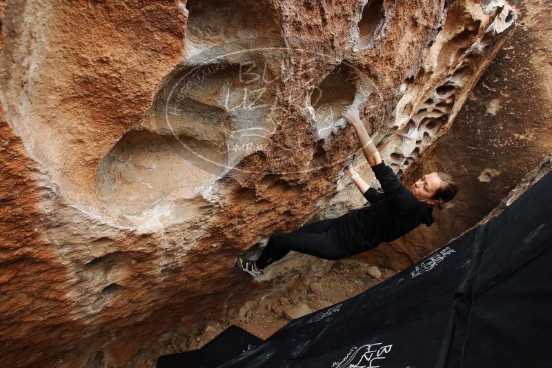 Bouldering in Hueco Tanks on 03/10/2019 with Blue Lizard Climbing and Yoga

Filename: SRM_20190310_1031440.jpg
Aperture: f/5.6
Shutter Speed: 1/320
Body: Canon EOS-1D Mark II
Lens: Canon EF 16-35mm f/2.8 L