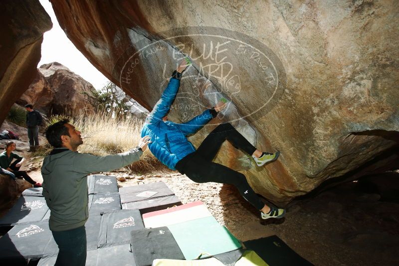 Bouldering in Hueco Tanks on 03/10/2019 with Blue Lizard Climbing and Yoga

Filename: SRM_20190310_1129110.jpg
Aperture: f/5.6
Shutter Speed: 1/250
Body: Canon EOS-1D Mark II
Lens: Canon EF 16-35mm f/2.8 L