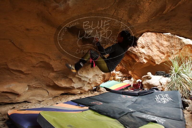 Bouldering in Hueco Tanks on 03/10/2019 with Blue Lizard Climbing and Yoga

Filename: SRM_20190310_1218540.jpg
Aperture: f/4.0
Shutter Speed: 1/125
Body: Canon EOS-1D Mark II
Lens: Canon EF 16-35mm f/2.8 L