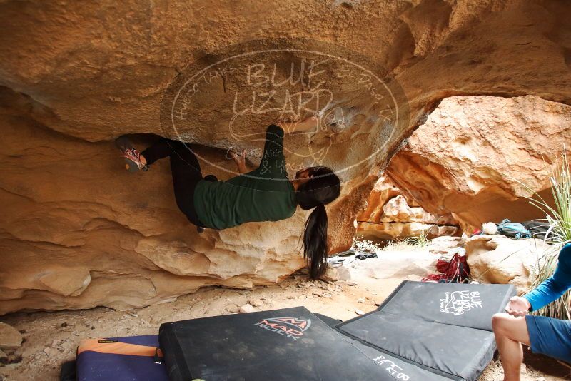 Bouldering in Hueco Tanks on 03/10/2019 with Blue Lizard Climbing and Yoga

Filename: SRM_20190310_1244150.jpg
Aperture: f/3.5
Shutter Speed: 1/250
Body: Canon EOS-1D Mark II
Lens: Canon EF 16-35mm f/2.8 L