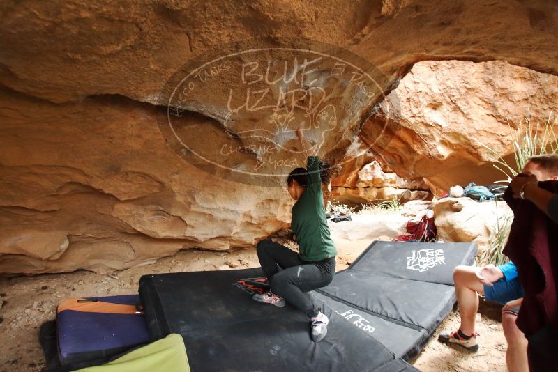 Bouldering in Hueco Tanks on 03/10/2019 with Blue Lizard Climbing and Yoga

Filename: SRM_20190310_1244240.jpg
Aperture: f/4.0
Shutter Speed: 1/200
Body: Canon EOS-1D Mark II
Lens: Canon EF 16-35mm f/2.8 L