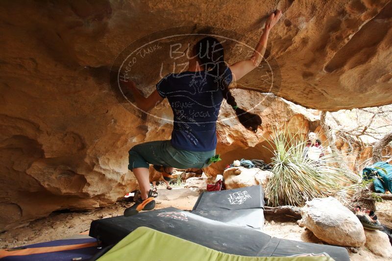 Bouldering in Hueco Tanks on 03/10/2019 with Blue Lizard Climbing and Yoga

Filename: SRM_20190310_1251160.jpg
Aperture: f/4.0
Shutter Speed: 1/320
Body: Canon EOS-1D Mark II
Lens: Canon EF 16-35mm f/2.8 L