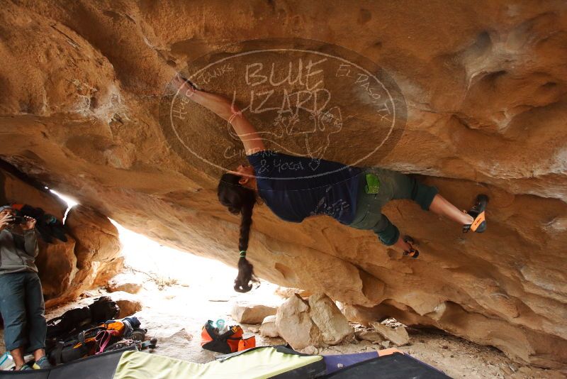 Bouldering in Hueco Tanks on 03/10/2019 with Blue Lizard Climbing and Yoga

Filename: SRM_20190310_1255210.jpg
Aperture: f/4.0
Shutter Speed: 1/160
Body: Canon EOS-1D Mark II
Lens: Canon EF 16-35mm f/2.8 L