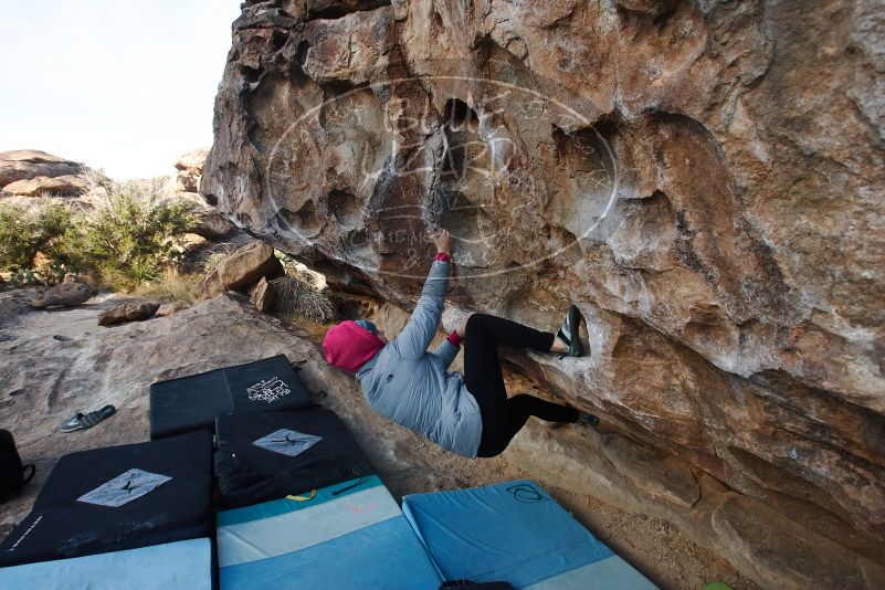 Bouldering in Hueco Tanks on 03/15/2019 with Blue Lizard Climbing and Yoga

Filename: SRM_20190315_0850570.jpg
Aperture: f/5.6
Shutter Speed: 1/200
Body: Canon EOS-1D Mark II
Lens: Canon EF 16-35mm f/2.8 L
