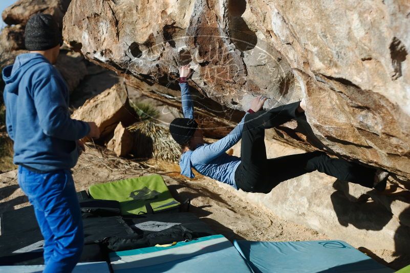 Bouldering in Hueco Tanks on 03/15/2019 with Blue Lizard Climbing and Yoga

Filename: SRM_20190315_0914240.jpg
Aperture: f/2.8
Shutter Speed: 1/3200
Body: Canon EOS-1D Mark II
Lens: Canon EF 50mm f/1.8 II
