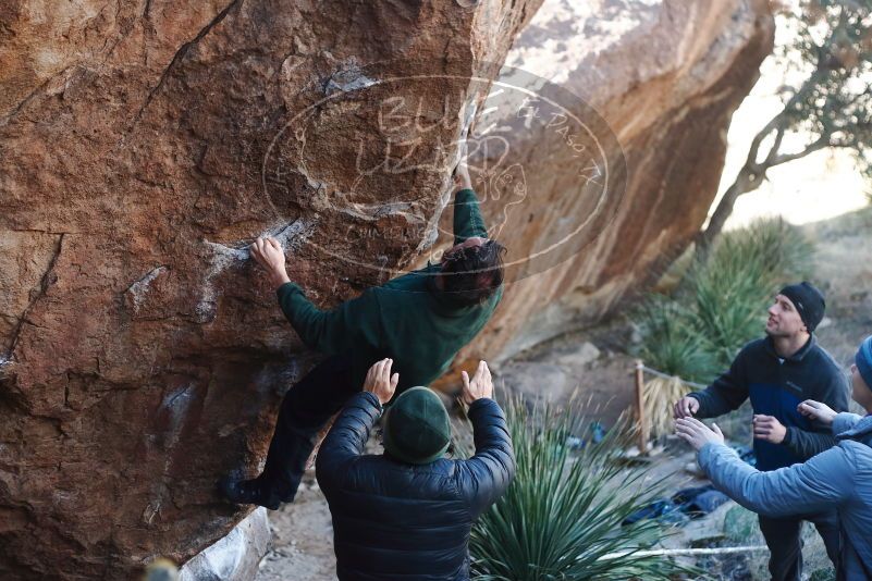 Bouldering in Hueco Tanks on 03/15/2019 with Blue Lizard Climbing and Yoga

Filename: SRM_20190315_1002050.jpg
Aperture: f/2.8
Shutter Speed: 1/500
Body: Canon EOS-1D Mark II
Lens: Canon EF 50mm f/1.8 II