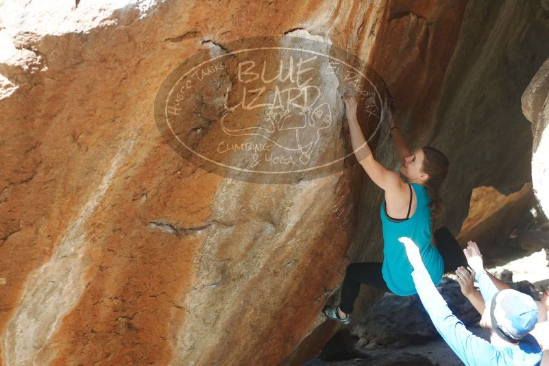 Bouldering in Hueco Tanks on 03/15/2019 with Blue Lizard Climbing and Yoga

Filename: SRM_20190315_1228260.jpg
Aperture: f/4.0
Shutter Speed: 1/320
Body: Canon EOS-1D Mark II
Lens: Canon EF 50mm f/1.8 II