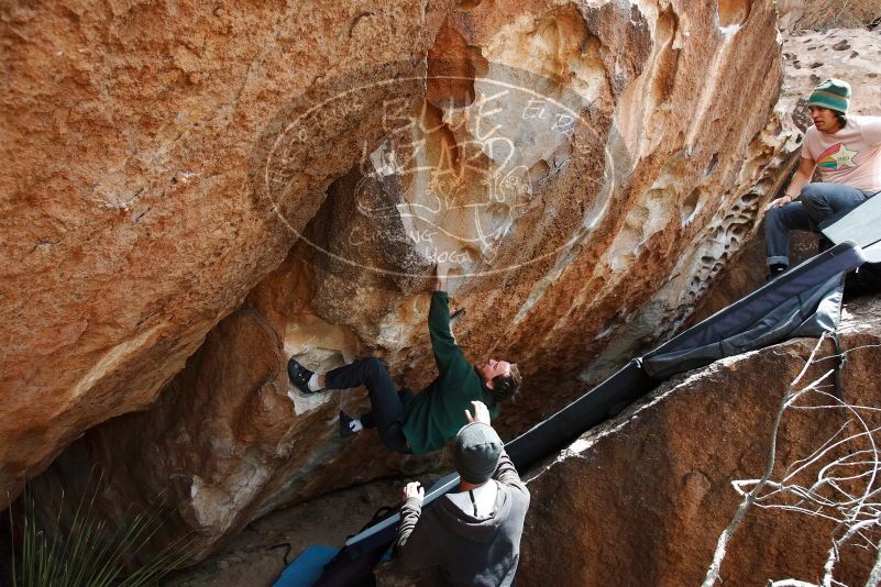 Bouldering in Hueco Tanks on 03/15/2019 with Blue Lizard Climbing and Yoga

Filename: SRM_20190315_1347270.jpg
Aperture: f/5.6
Shutter Speed: 1/400
Body: Canon EOS-1D Mark II
Lens: Canon EF 16-35mm f/2.8 L