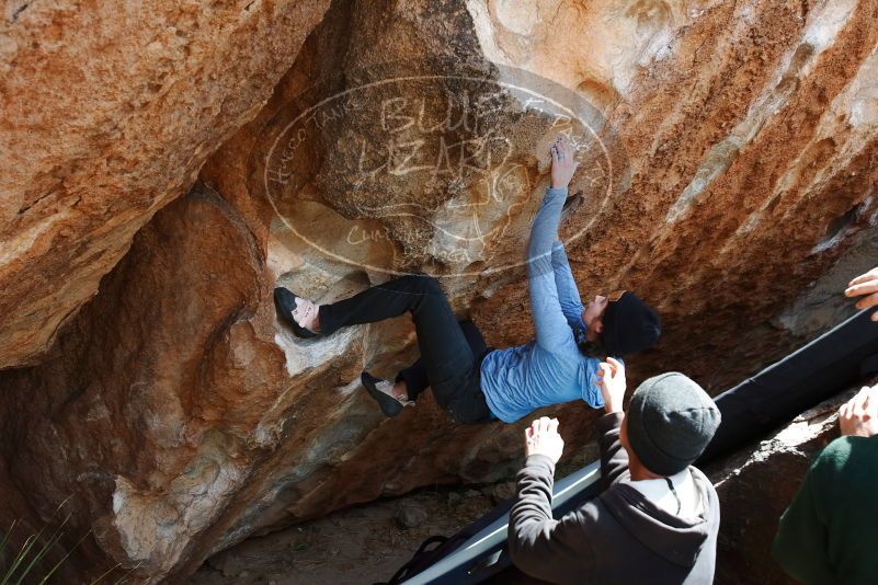 Bouldering in Hueco Tanks on 03/15/2019 with Blue Lizard Climbing and Yoga

Filename: SRM_20190315_1349070.jpg
Aperture: f/5.6
Shutter Speed: 1/320
Body: Canon EOS-1D Mark II
Lens: Canon EF 16-35mm f/2.8 L