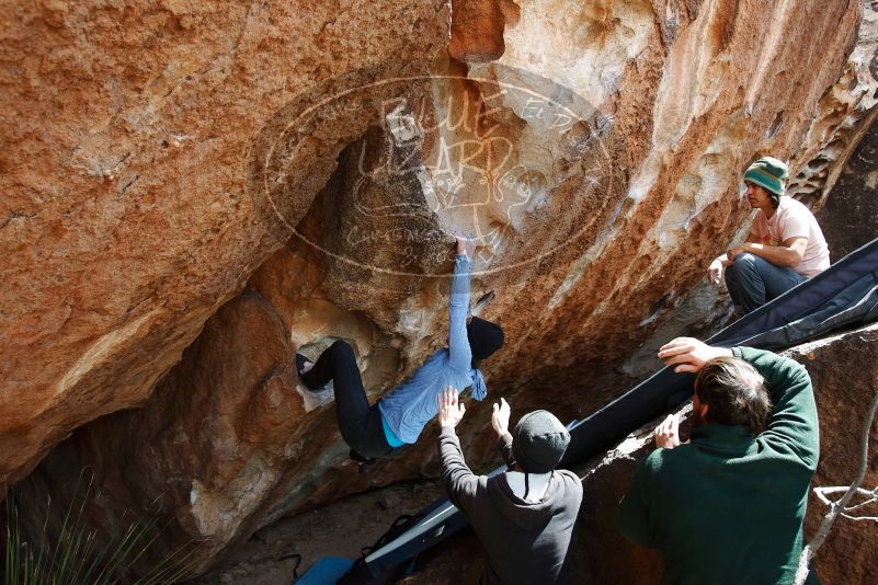 Bouldering in Hueco Tanks on 03/15/2019 with Blue Lizard Climbing and Yoga

Filename: SRM_20190315_1349120.jpg
Aperture: f/5.6
Shutter Speed: 1/400
Body: Canon EOS-1D Mark II
Lens: Canon EF 16-35mm f/2.8 L