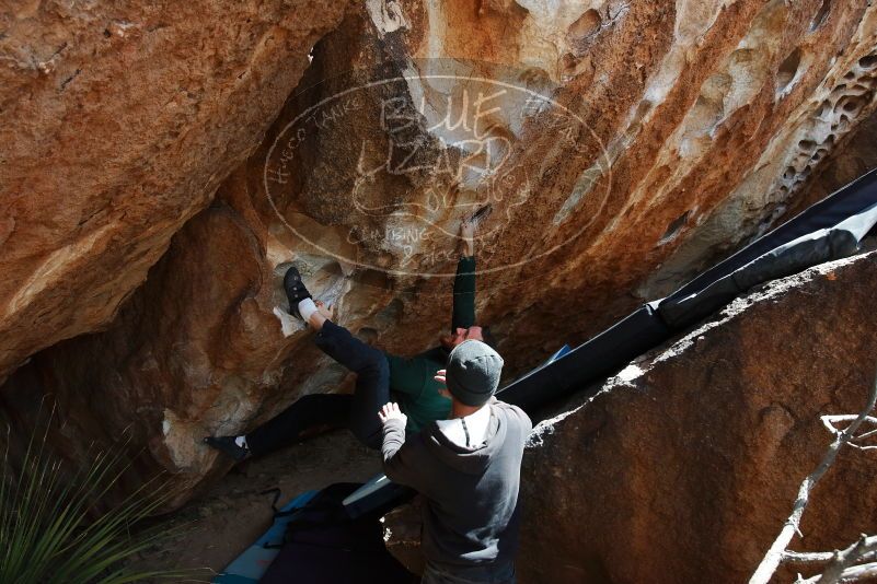 Bouldering in Hueco Tanks on 03/15/2019 with Blue Lizard Climbing and Yoga

Filename: SRM_20190315_1401400.jpg
Aperture: f/5.6
Shutter Speed: 1/500
Body: Canon EOS-1D Mark II
Lens: Canon EF 16-35mm f/2.8 L