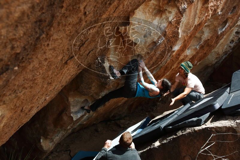 Bouldering in Hueco Tanks on 03/15/2019 with Blue Lizard Climbing and Yoga

Filename: SRM_20190315_1427470.jpg
Aperture: f/5.6
Shutter Speed: 1/640
Body: Canon EOS-1D Mark II
Lens: Canon EF 16-35mm f/2.8 L