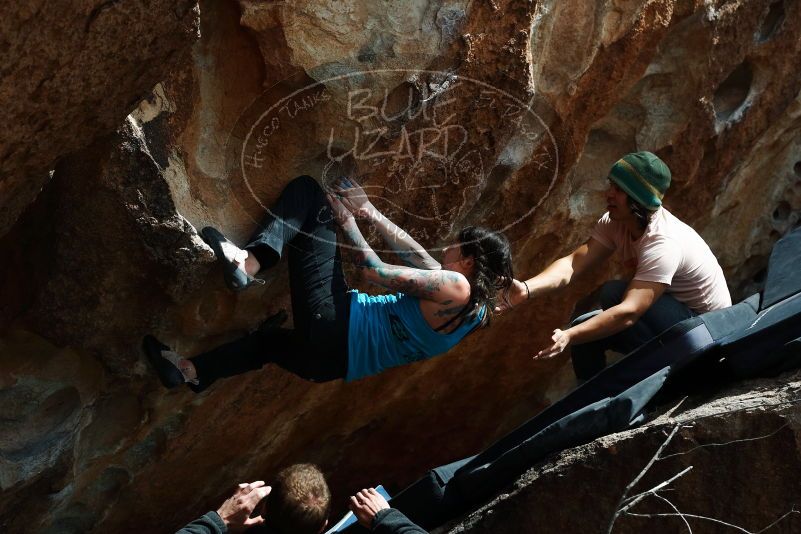 Bouldering in Hueco Tanks on 03/15/2019 with Blue Lizard Climbing and Yoga

Filename: SRM_20190315_1432010.jpg
Aperture: f/5.6
Shutter Speed: 1/500
Body: Canon EOS-1D Mark II
Lens: Canon EF 50mm f/1.8 II